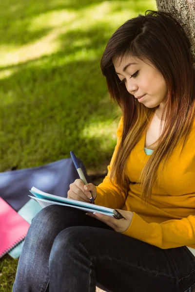 Student göra läxor i park — Stockfoto