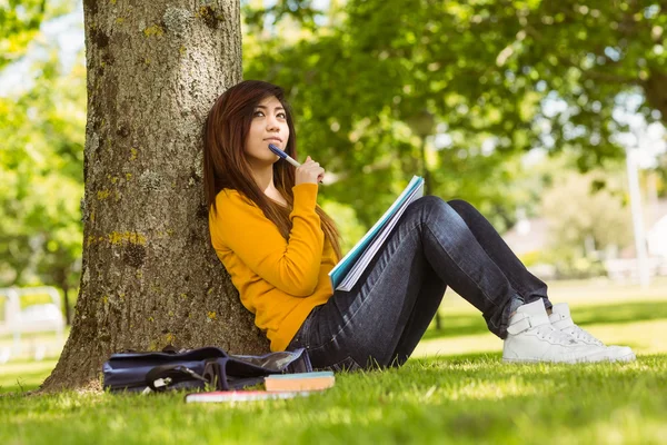 Student with books against tree — Stock Photo, Image