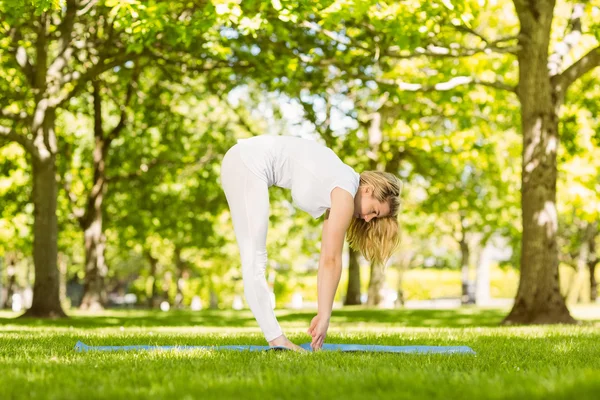 Vreedzame blonde doen yoga in het park — Stockfoto