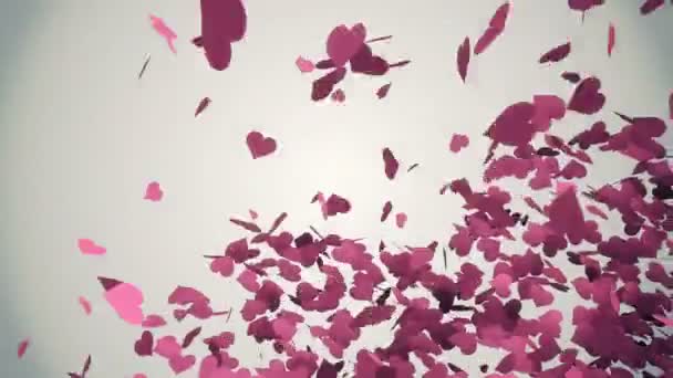 Rosa hjärtan faller med valentines meddelande — Stockvideo