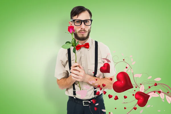 Geeky hipster aanbieden rose — Stockfoto