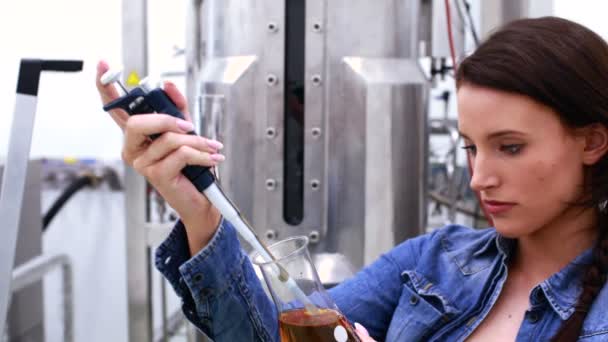 Cervecera que comprueba el producto en vaso de precipitados — Vídeos de Stock