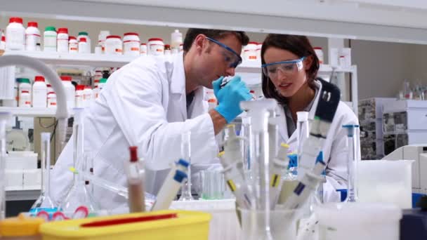 Химики работают в лаборатории — стоковое видео