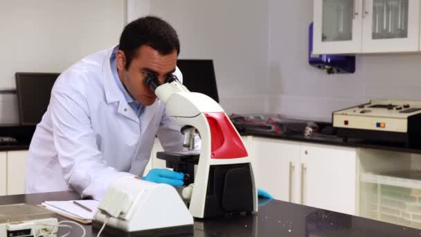 Bilim adamı laboratuarda mikroskop aramak — Stok video