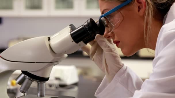 科学者が研究室で顕微鏡を通して見る — ストック動画
