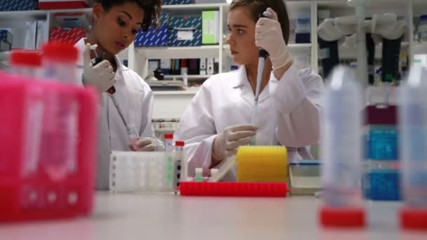 Estudiantes de ciencias trabajando juntos con pipetas — Vídeos de Stock