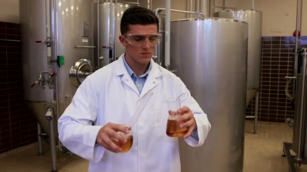 Trabajador cervecero comprobando el producto — Vídeo de stock