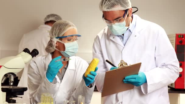 Scientist taking notes on food experiment — Stock Video