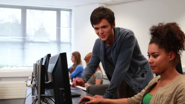 Φοιτητές που εργάζονται από κοινού στο δωμάτιο του υπολογιστή — Αρχείο Βίντεο