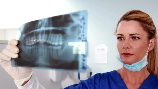 Glimlachend tandarts studeren een x ray — Stockvideo