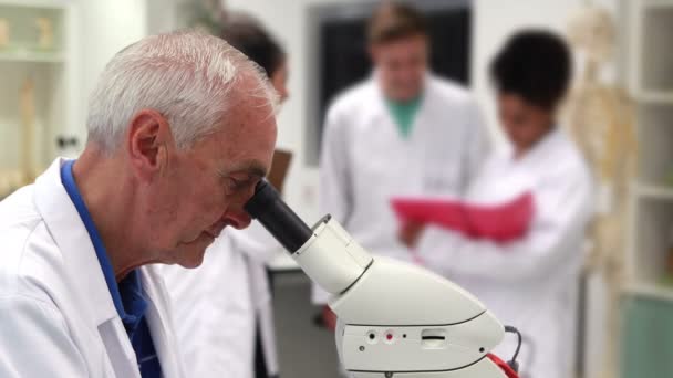 Medizinprofessor schaut durchs Mikroskop — Stockvideo