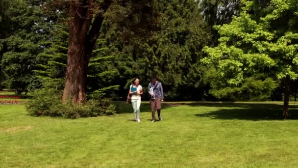 Amigos caminhando e falando juntos — Vídeo de Stock