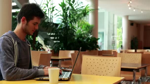 Estudiante sonriente sentado y usando su portátil — Vídeos de Stock