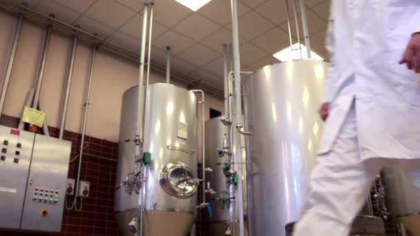 Trabajador cervecero sonriendo a la cámara — Vídeos de Stock