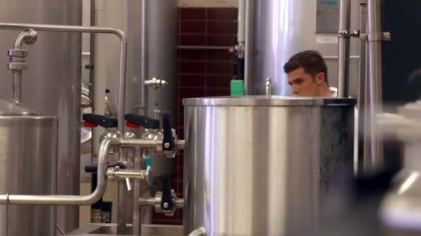 检查大桶的啤酒厂工人 — 图库视频影像
