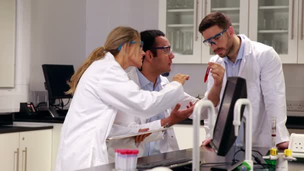 Cientistas trabalhando juntos no laboratório — Vídeo de Stock