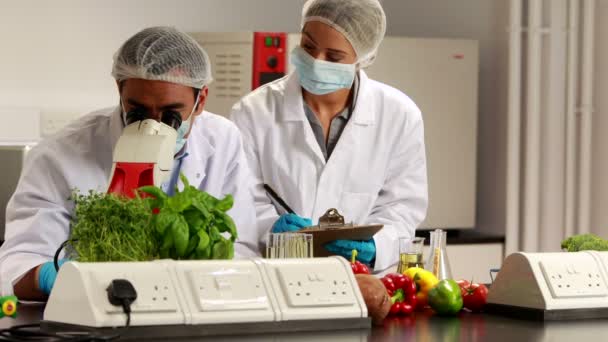 Cientistas experimentando alimentos juntos — Vídeo de Stock