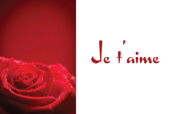 Samengestelde afbeelding van rode roos met regendruppels — Stockfoto