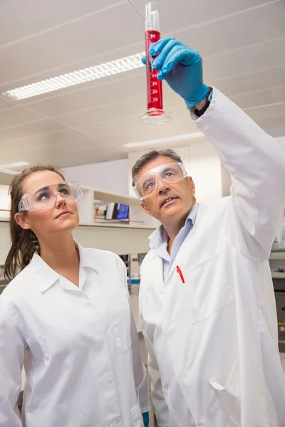 Pharmacists looking at beaker of red liquid — Stock Photo, Image