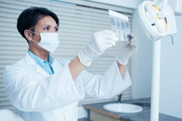 Концентрированная женщина-дантист смотрит на рентген — стоковое фото
