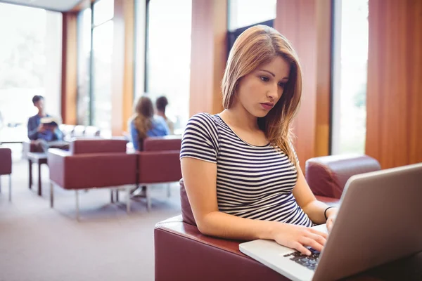 Focused young student sitting on couch using laptop — Stock Photo, Image