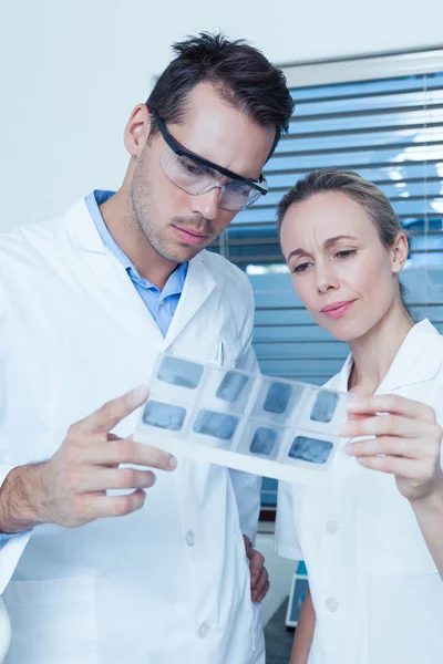 Dentists looking at x-ray — Stock Photo, Image