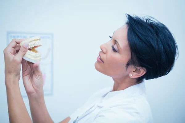 Dentista femenina mirando el modelo de boca — Foto de Stock