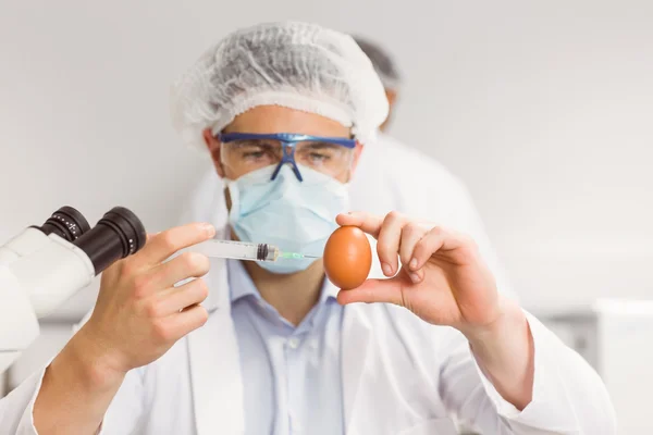 Científico alimentario inyectando un huevo — Foto de Stock