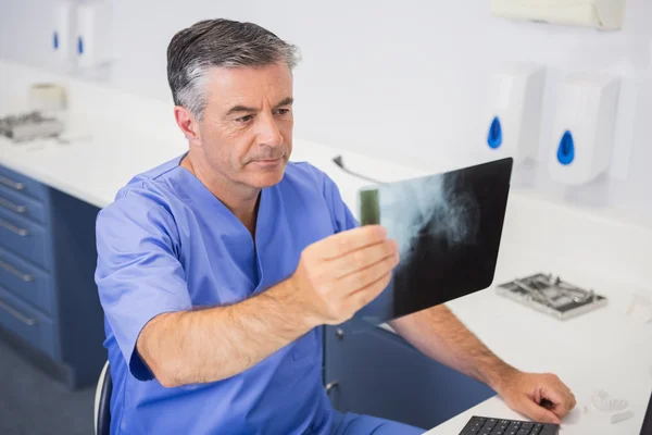 Dentista estudando raio-x atentamente — Fotografia de Stock