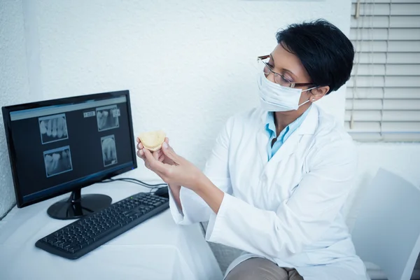 Female dentist holding mouth model — Stock Photo, Image