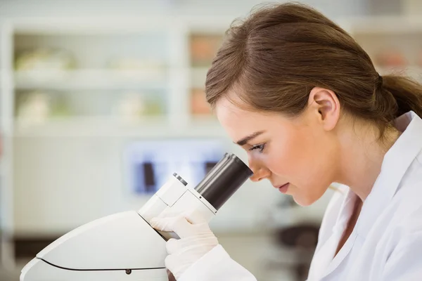 Jovem cientista que trabalha com microscópio — Fotografia de Stock