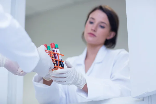 Biologist giving blood sample to his colleague — Stock Photo, Image