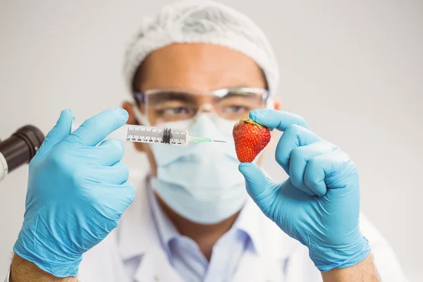 Food scientist injecting a strawberry — Stock Photo, Image