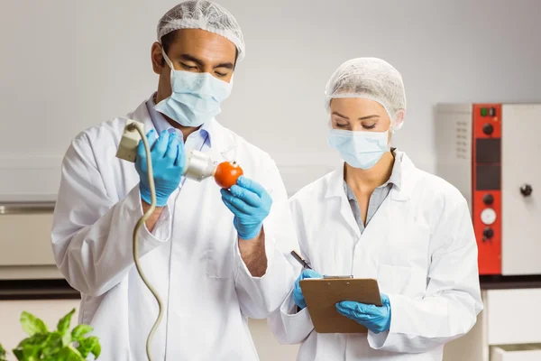 Cientista de alimentos usando o dispositivo na pimenta — Fotografia de Stock