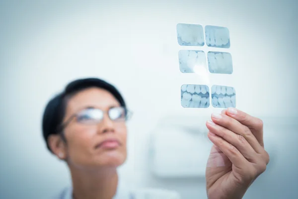Жінка-стоматолог дивиться на рентгенівський знімок — стокове фото
