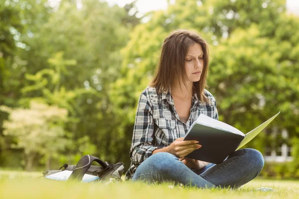 Universidade estudante sentado leitura livro — Fotografia de Stock