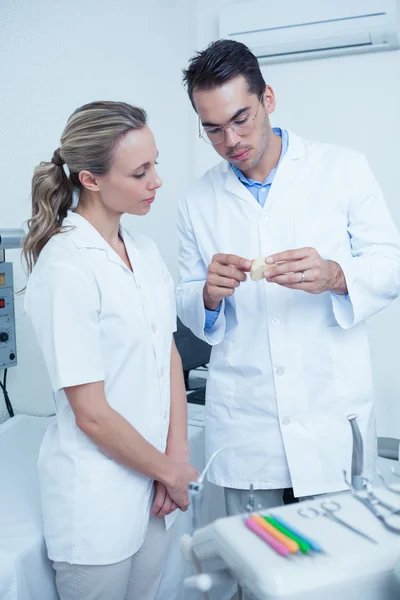 Dentists looking at mouth model — Stock Photo, Image