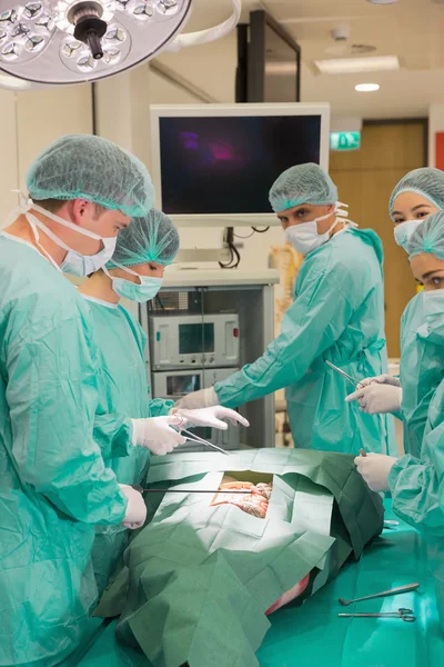 Estudantes de medicina praticando cirurgia em modelo — Fotografia de Stock