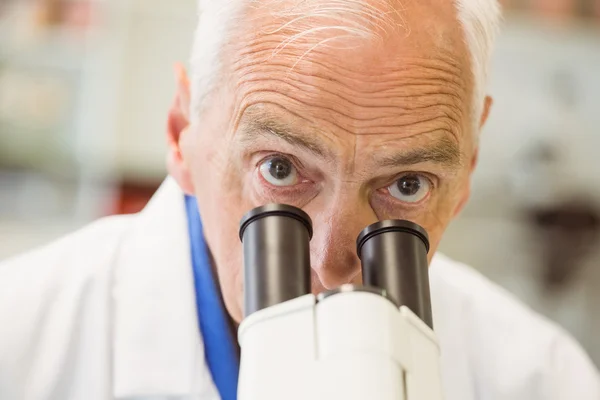 Senior scientist working with microscope — Stock Photo, Image