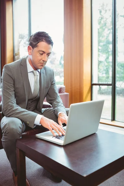 Charmant homme d'affaires concentré travaillant sur un ordinateur portable — Photo