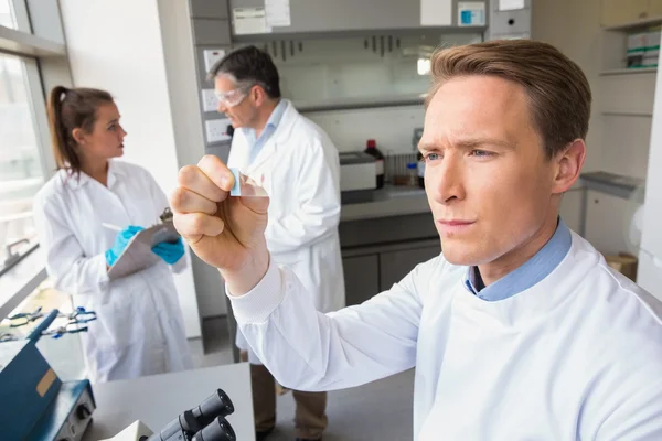 Scientist looking at test slide — Stock Photo, Image