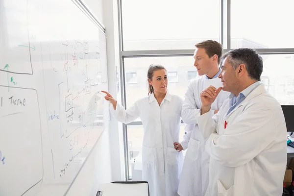 Étudiants en sciences et conférenciers regardant le tableau blanc — Photo