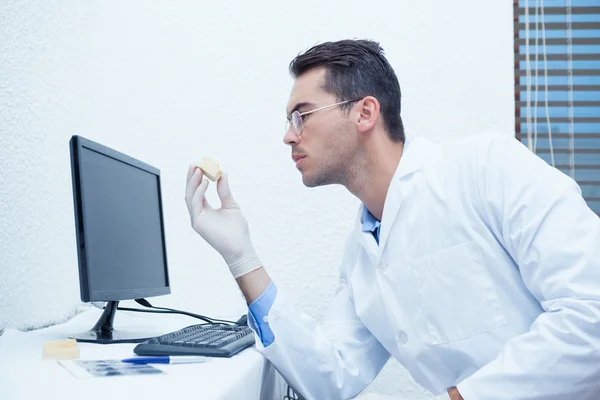 Dentist holding mouth model by computer — Stock Photo, Image