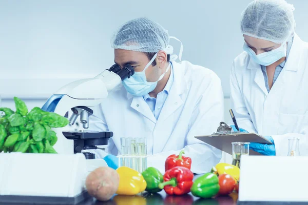 Food scientists using the microscope for research — Stock Photo, Image