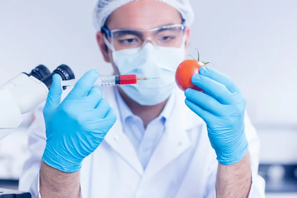 Científico alimentario inyectando un tomate —  Fotos de Stock