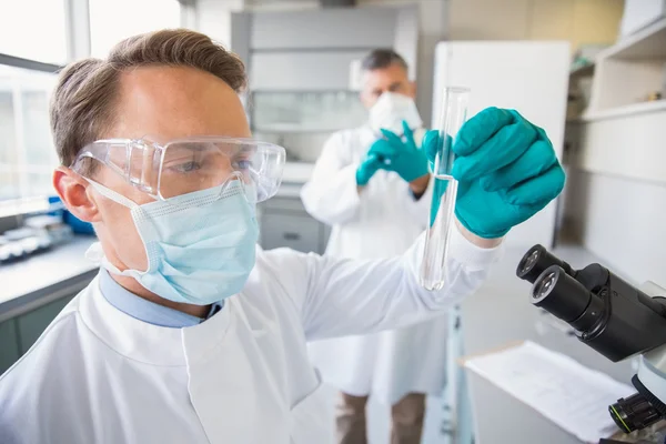 Team of scientists working together — Stock Photo, Image