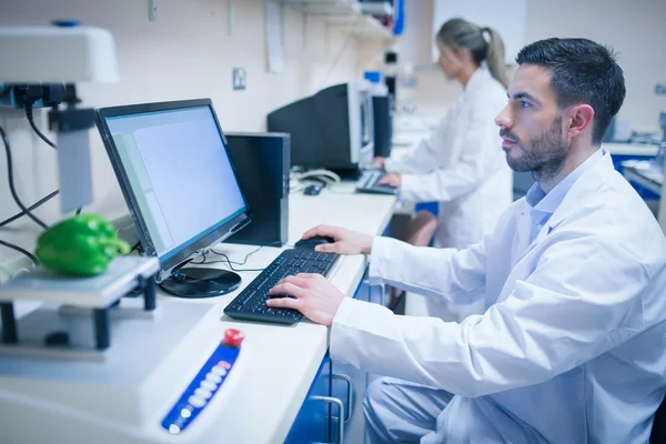 Voedsel wetenschapper met behulp van technologie om te analyseren peper — Stockfoto