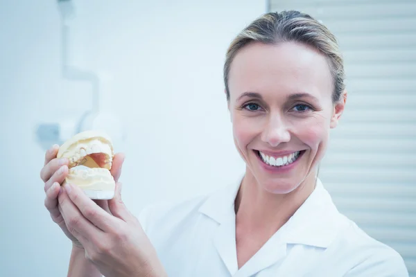 Sonriente dentista femenina sosteniendo modelo de boca — Foto de Stock