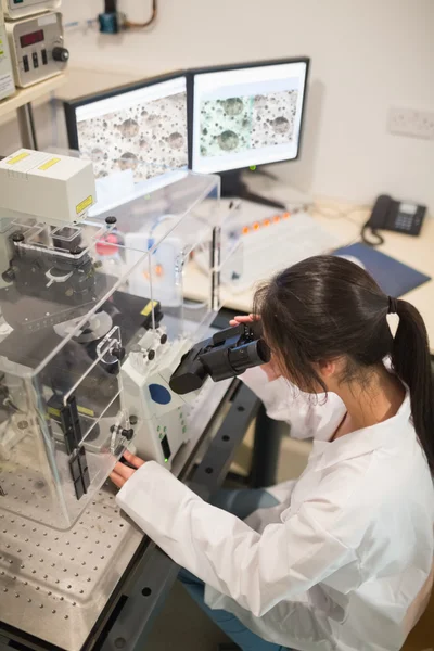 Студент-биохимик с использованием большого микроскопа и компьютера — стоковое фото