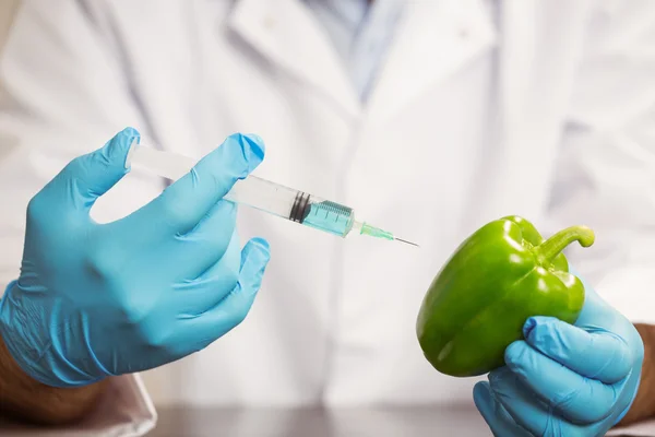 Científico alimentario inyectando un pimiento —  Fotos de Stock